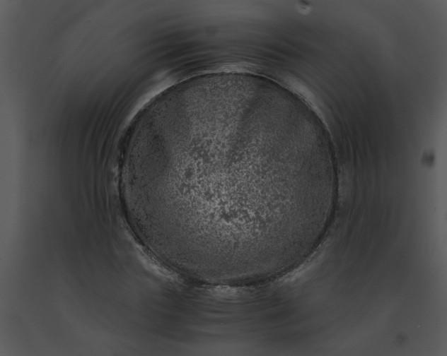 X0000091450827200708301808