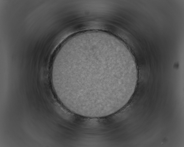 X0000091450828200708301808