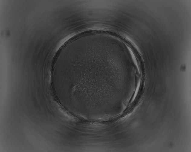 X0000091450829200708301808
