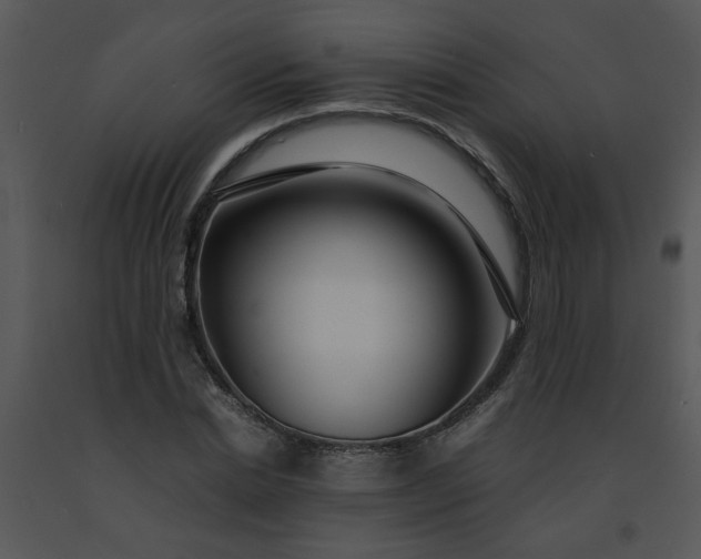 X0000091450830200708301808