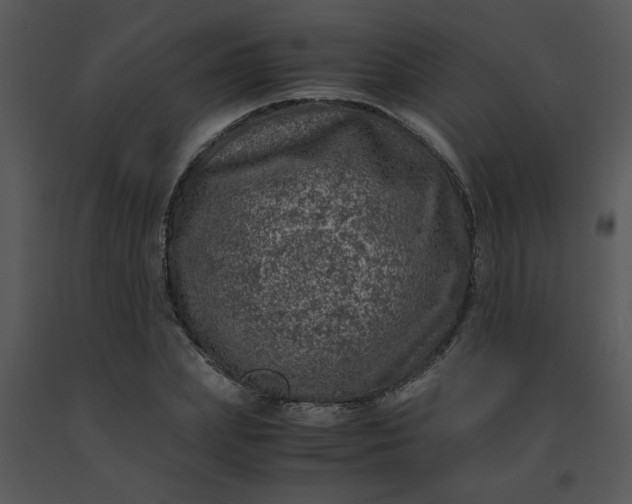 X0000091450831200708301808