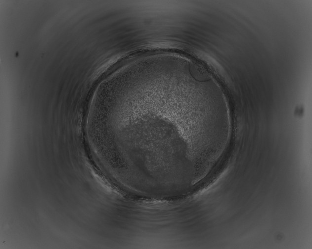 X0000091450833200708301808
