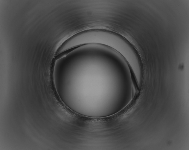 X0000091450834200708301808