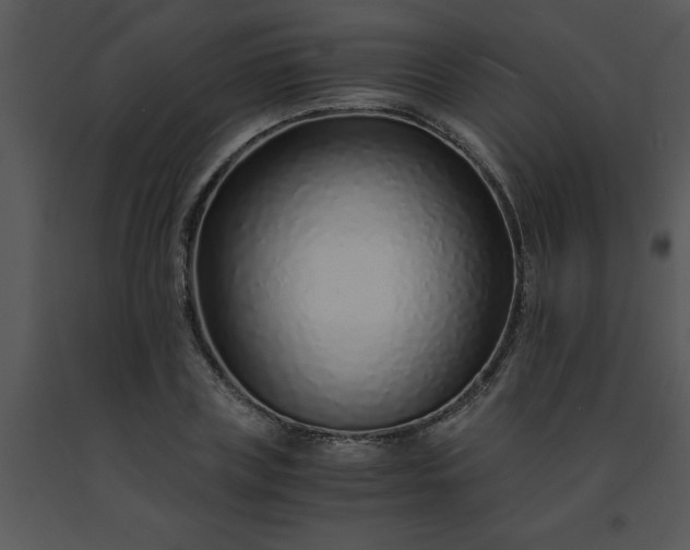X0000091450835200708301808