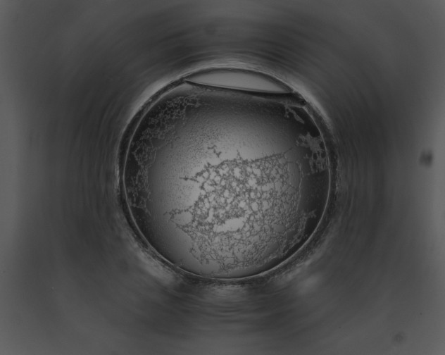 X0000091450837200708301808