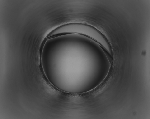 X0000091450838200708301808