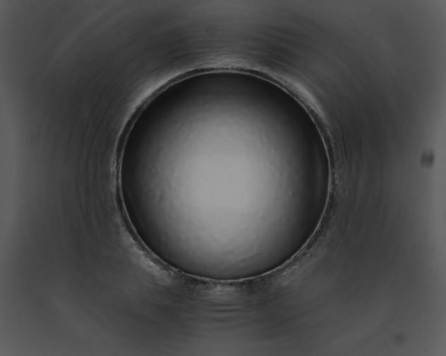 X0000091450839200708301808