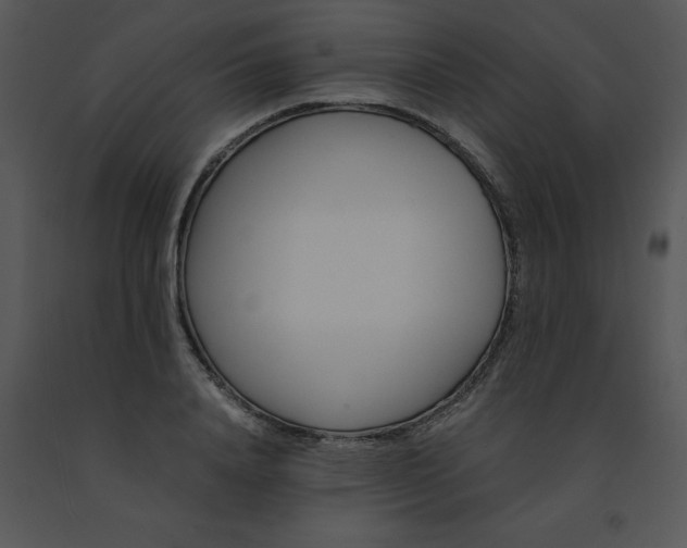 X0000091450840200708301808