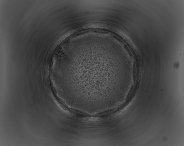 X0000091450841200708301808