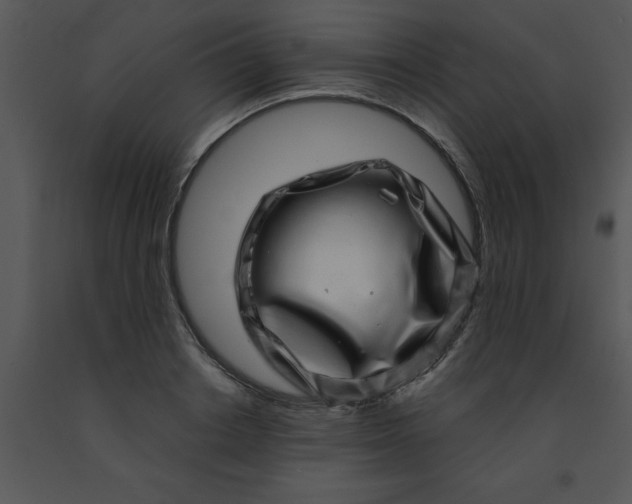 X0000091450842200708301808