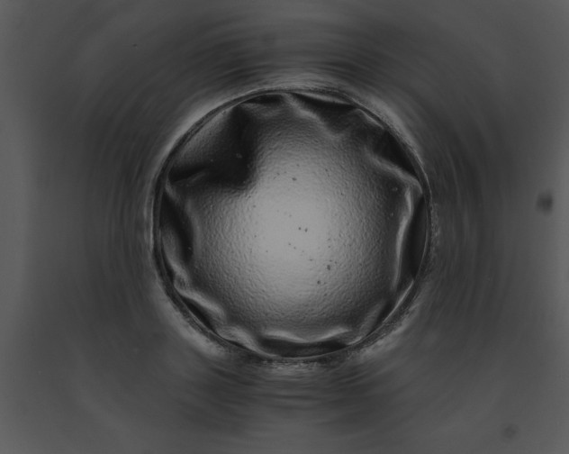 X0000091450843200708301808
