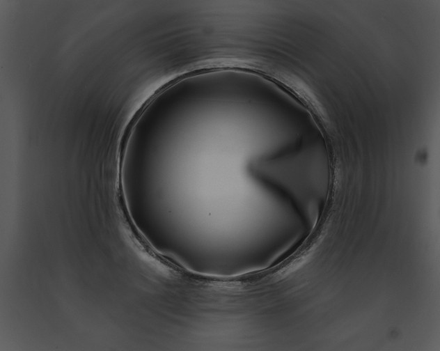 X0000091450844200708301808