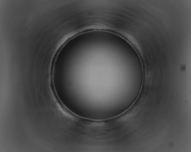 X0000091450845200708301808