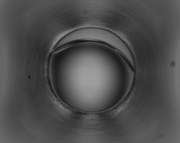 X0000091450846200708301808