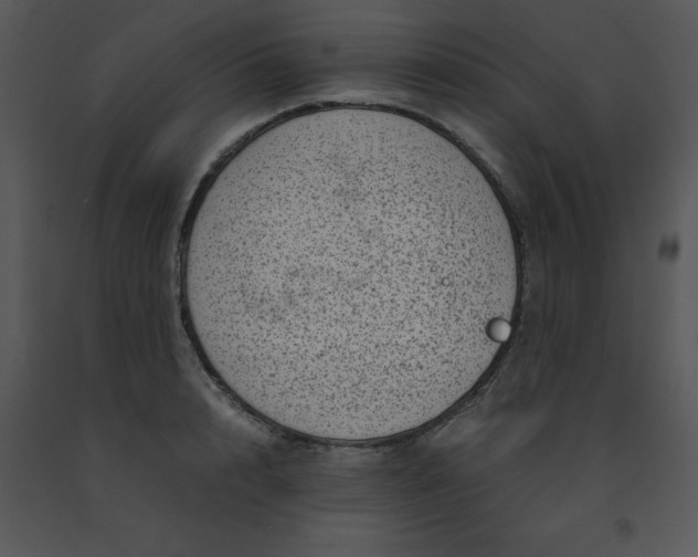 X0000091450848200708301808