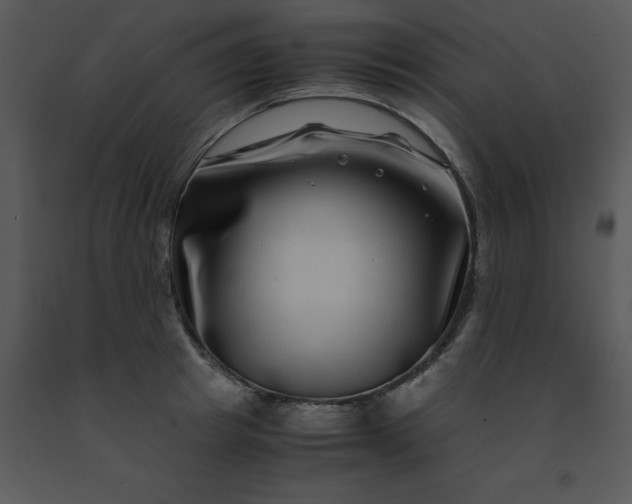 X0000091450849200708301808