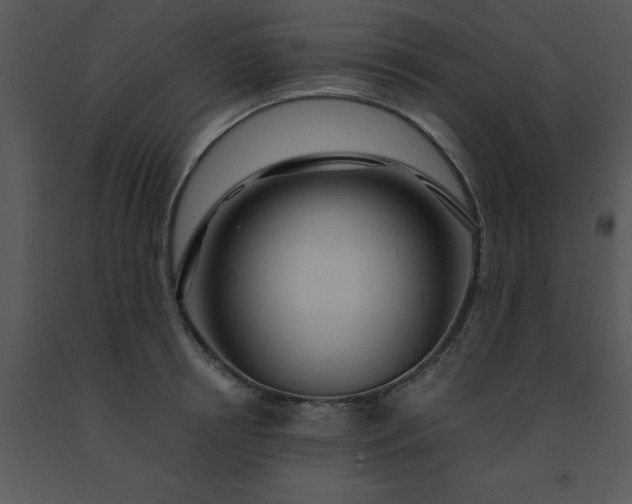 X0000091450850200708301808