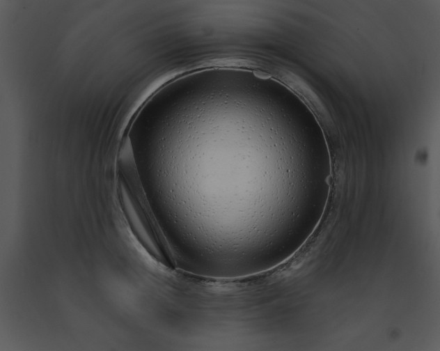 X0000091450852200708301808