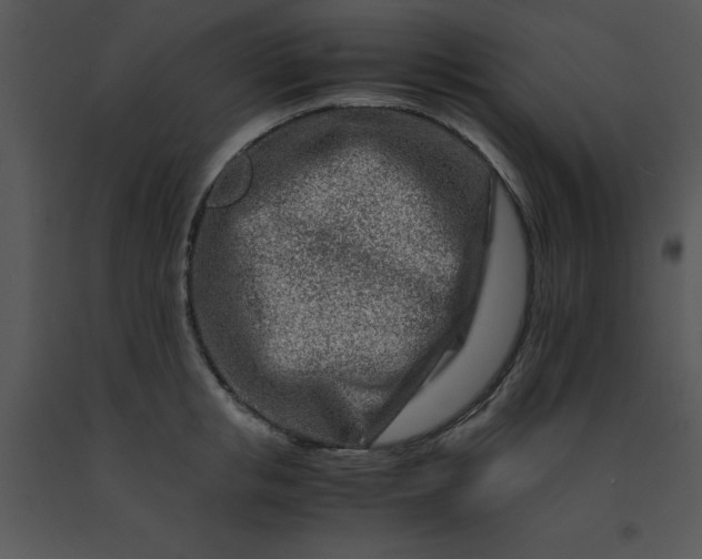 X0000091450853200708301808