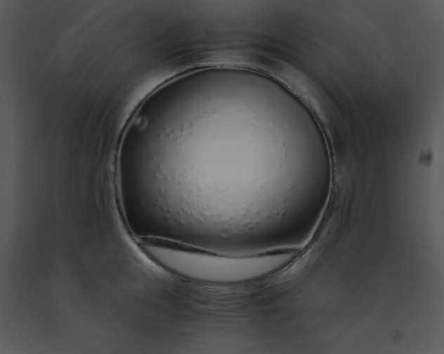 X0000091450855200708301808