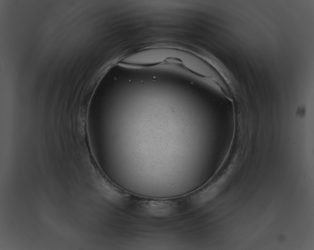 X0000091450857200708301808