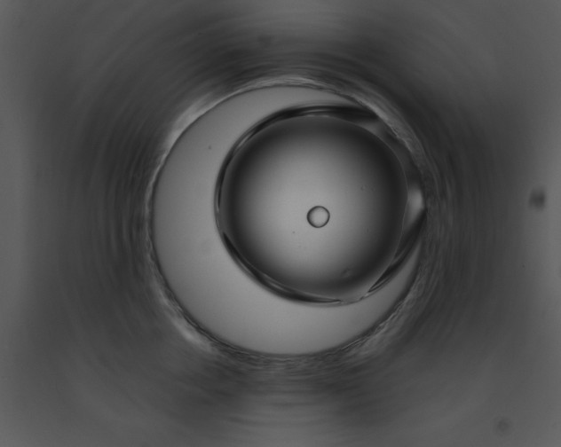 X0000091450858200708301808