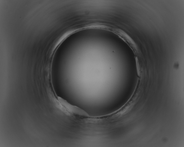 X0000091450860200708301808