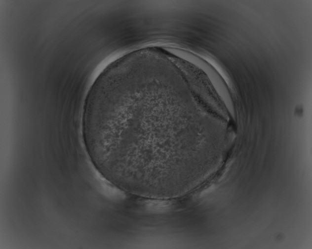 X0000091450861200708301808