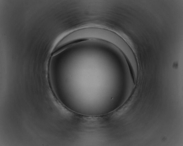 X0000091450862200708301808