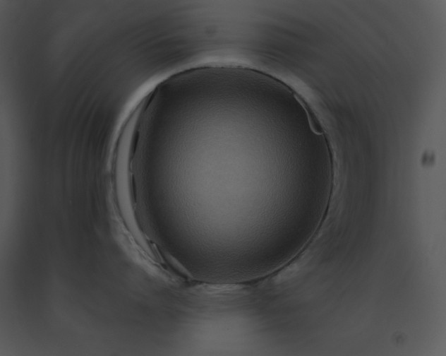X0000091450864200708301808