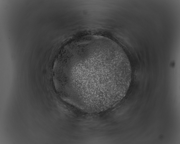 X0000091450865200708301808