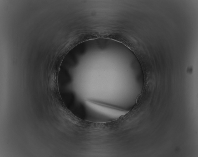 X0000091450866200708301808