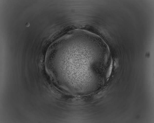 X0000091450867200708301808