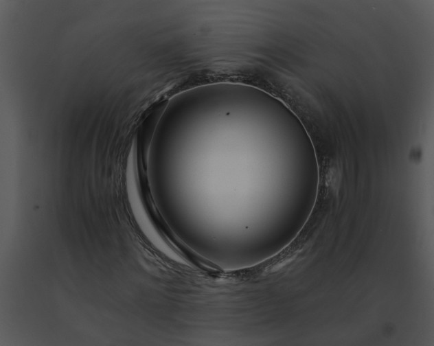 X0000091450868200708301808