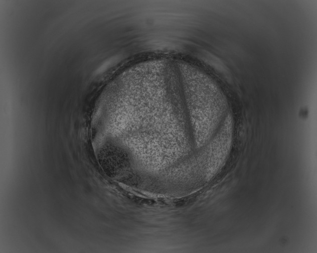 X0000091450869200708301808