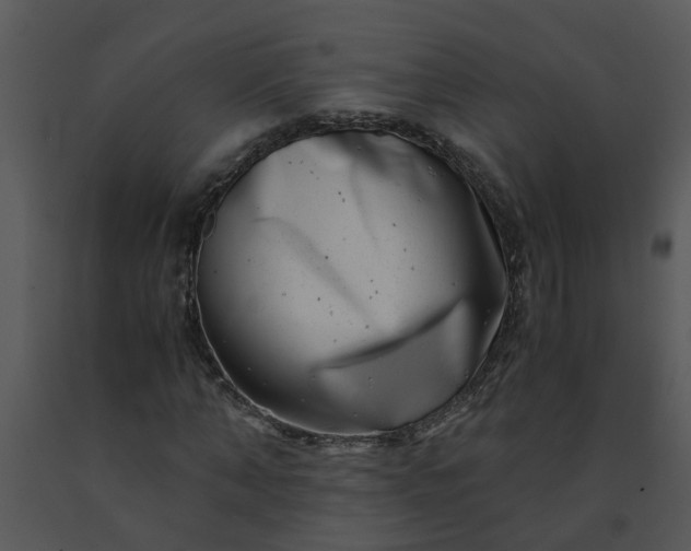 X0000091450870200708301808