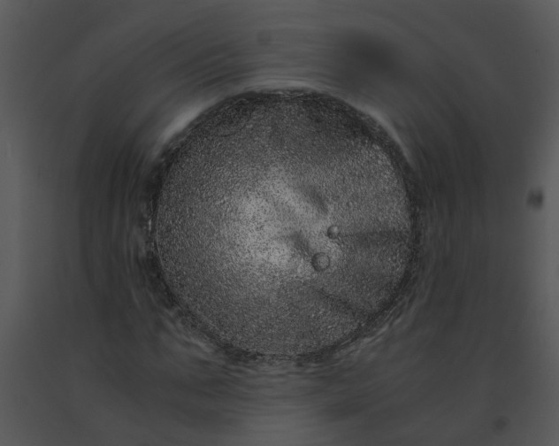 X0000091450871200708301808