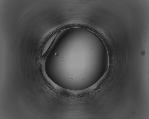 X0000091450872200708301808