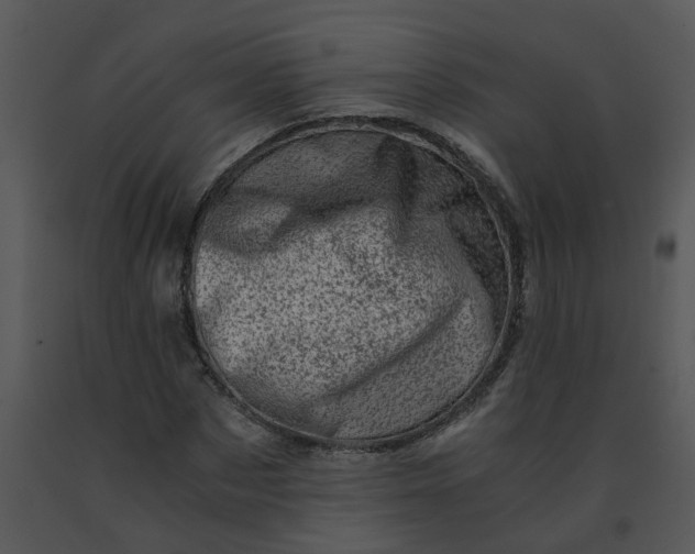 X0000091450873200708301808