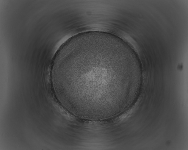 X0000091450875200708301808