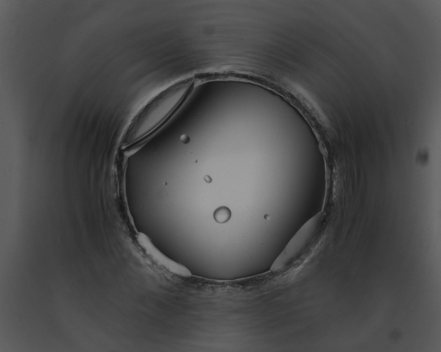 X0000091450876200708301808