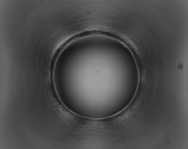 X0000091450877200708301808