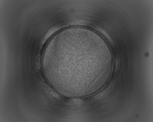 X0000091450878200708301808