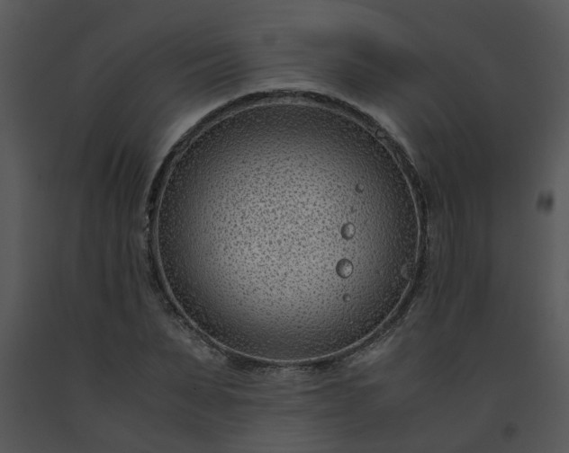 X0000091450879200708301808