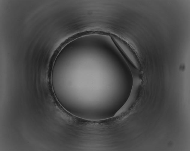 X0000091450880200708301808