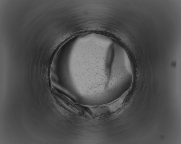 X0000091450881200708301808