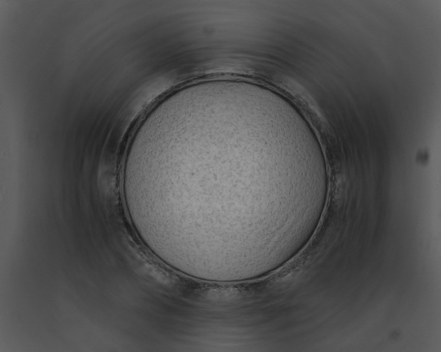 X0000091450882200708301808