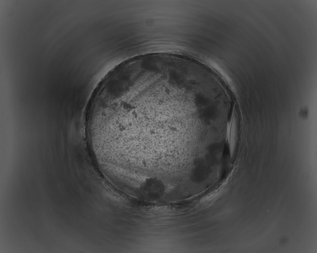 X0000091450883200708301807