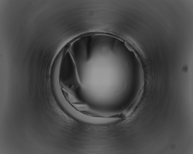 X0000091450884200708301807