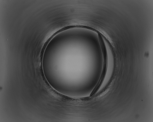 X0000091450885200708301807